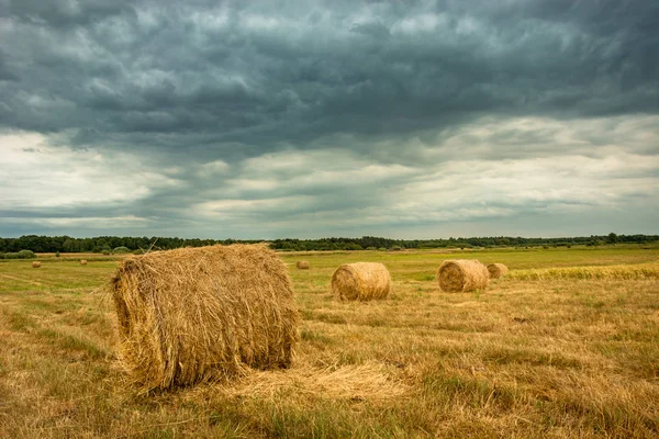 Fardos de feno no campo, floresta no horizonte e nuvens escuras — Fotografia de Stock