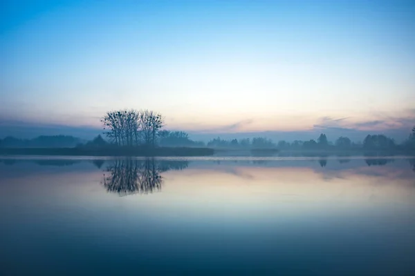 Árvores na margem de um lago nebuloso — Fotografia de Stock