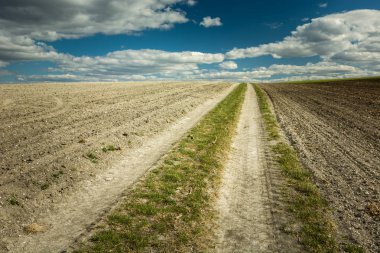 Kırsal yol ve sürülmüş alanlar