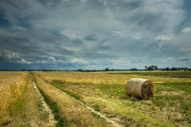 Ülke yol ve bulutlar ile yaz bulutlu manzara