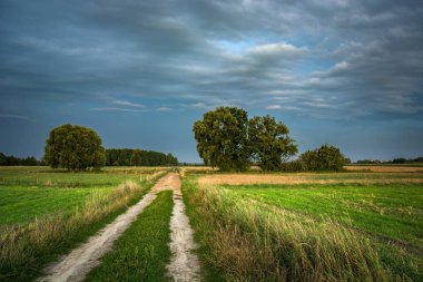 Kırsal yol tarlalardan, ağaçlardan ve gökyüzündeki kara bulutlardan geçiyor.