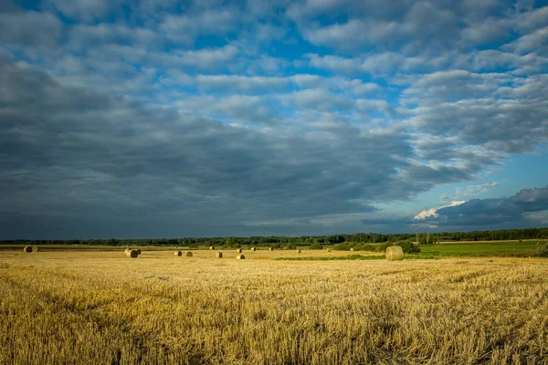 Fardos de heno en un campo en el este de Polonia, nubes oscuras en el cielo azul — Foto de Stock