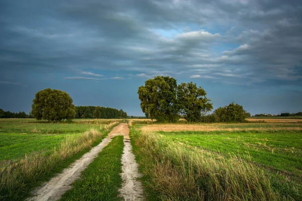 Rural road through fields, trees and dark clouds on the sky — Stock Photo, Image