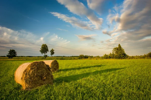 緑の草原の干し草の山、青い空の雲 — ストック写真