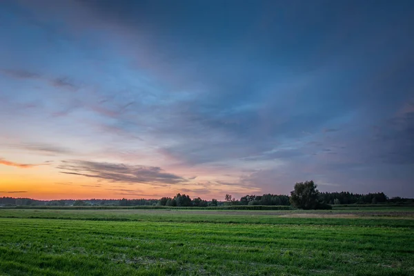 Colorful clouds after sunset, horizon and field