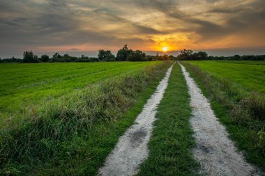 Yeşil tarlalarda, bulutlarda ve günbatımında toprak yol