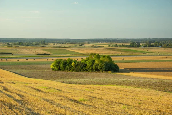 Paysage avec champs et prairies dans l'est de la Pologne — Photo
