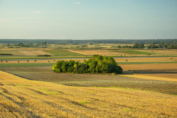 Landscape with fields and meadows in eastern Poland