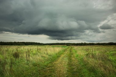 Vahşi bir çayırda, ufukta ve yağmurlu bulutlarda yol alın.