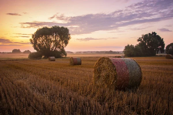 Runder Heuhaufen auf dem Feld, Himmel nach Sonnenuntergang — Stockfoto