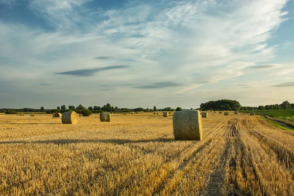 Heuräder auf einem Feld, weiße Wolken am Himmel — Stockfoto