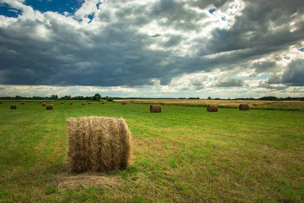 Bales of hay on the field and gray clouds on the sky — Stock Photo, Image