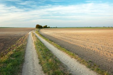 Toprak yol ve tarlalar, ufuktaki ağaçlar ve mavi gökyüzündeki beyaz bulutlar.