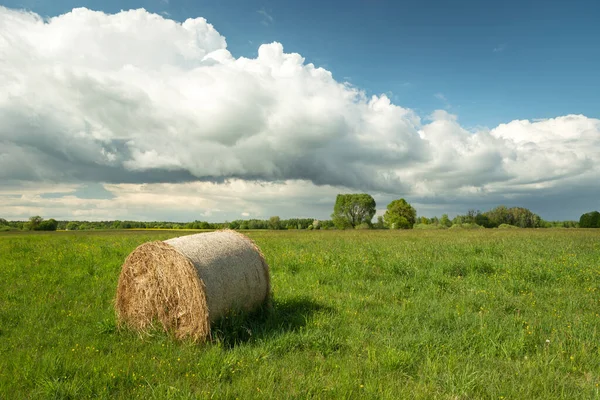 緑の草原に寝そべっている単一干し草の玉 青空に白い大きな雲 春の景色 — ストック写真