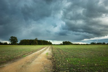 Kumlu yol ve ekili tarlalar, yaz gününde kara yağmurlu bulutlar.