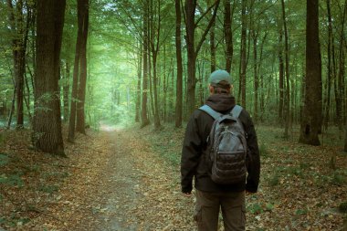 Orman yolunda yürüyen bir gezgin, soğuk yaz manzarası