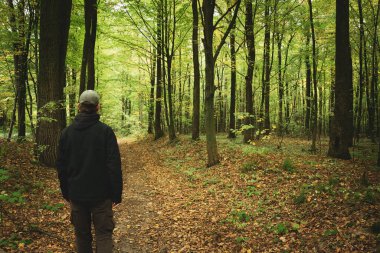 Yeşil ormanda ceketli ve beyzbol şapkalı bir adam, sonbahar manzaralı.