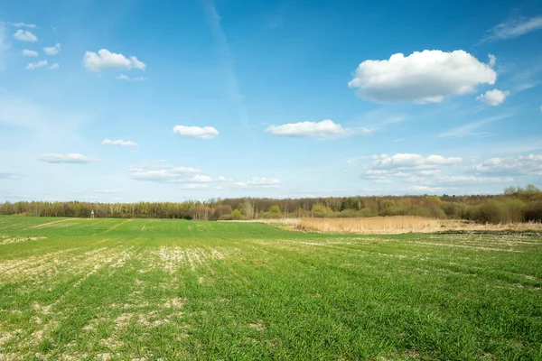 Yeşil kırsal alan, orman ve mavi gökyüzünde beyaz bulutlar