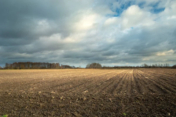 Campo Arato Marrone Foresta All Orizzonte Cielo Grigio Nuvoloso — Foto Stock