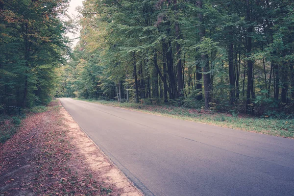 Route Asphaltée Droite Travers Une Forêt Colorée — Photo