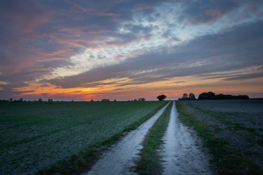 Tarlalarda bir köy yolu ve gökyüzünde bulutlar gün batımından sonra, yaz manzarası