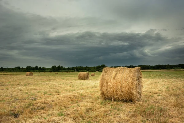 Hay Bales Field Cloudy Sky Rural Summer Landscape — Stock Photo, Image