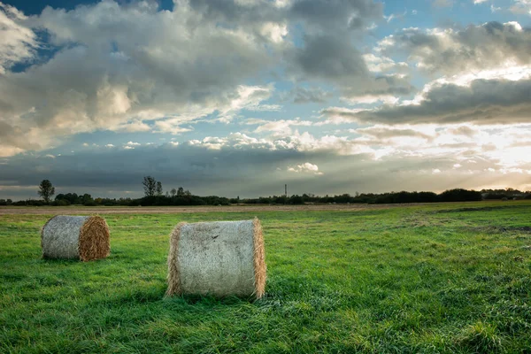 Ronde Hooibalen Liggend Een Groene Weide Wolken Zonneschijn Aan Hemel — Stockfoto