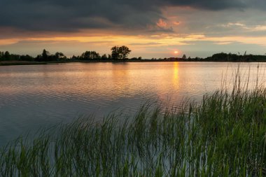Yeşil kamışlı huzurlu bir gölün üzerinde gün batımı ve kara bulutlar.