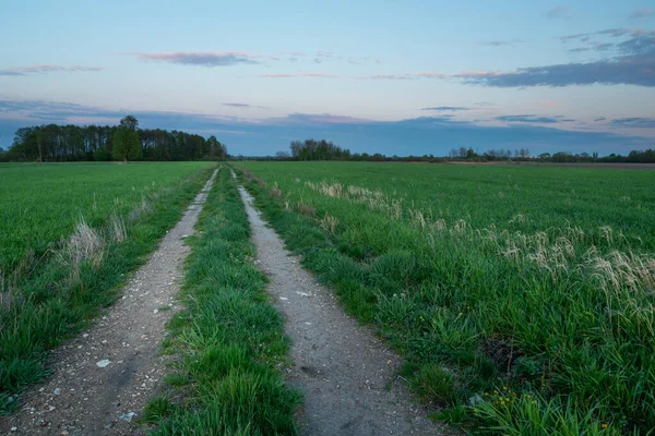 Country Road Green Fields Clouds Sunset Spring Evening View — Stock Photo, Image