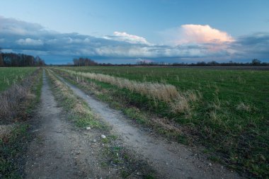 Gece gökyüzünde toprak bir yol ve bulutlar, Nowiny, Lubelskie, Polonya