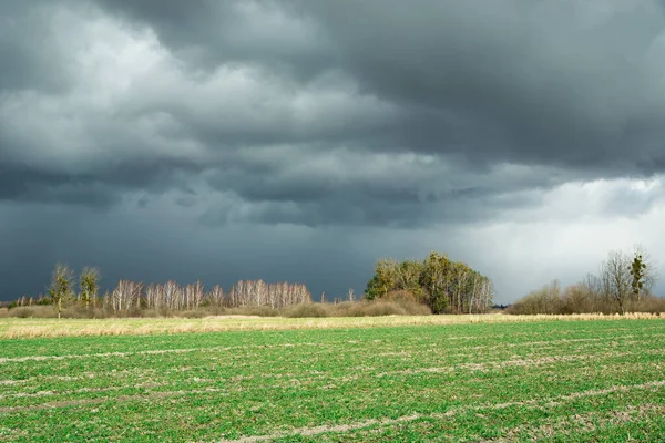 Nuvem Escura Com Chuva Campo Verde Vista Primavera — Fotografia de Stock
