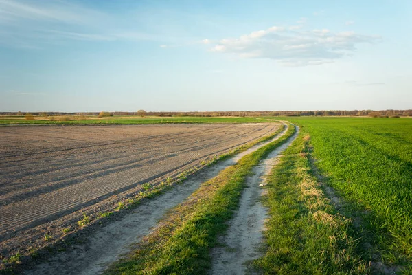 A country road through fields, horizon and sky, spring view