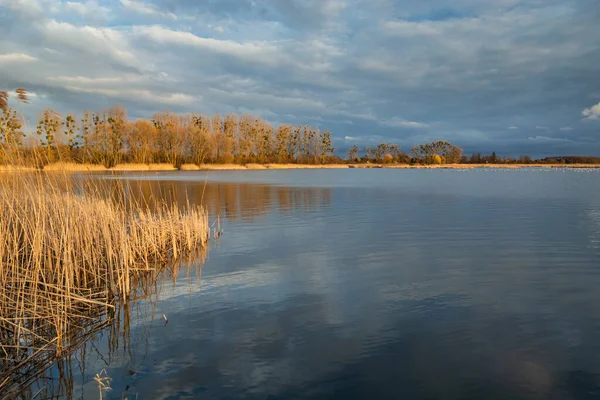 静かな湖 晴れた日に木々や葦の美しい色3月の日 — ストック写真