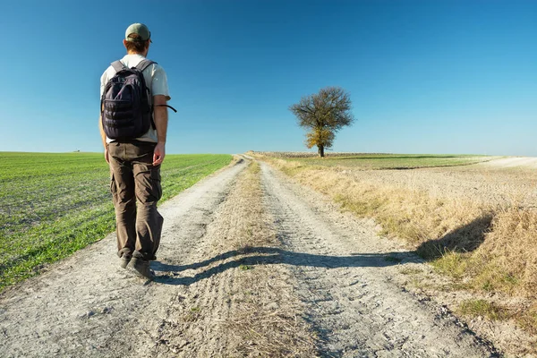 Toprak yolda gezen bir gezgin güneşli bir günde gider. Ekim manzaralı, Staw, Polonya
