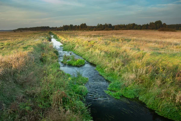 ポーランド東部を流れる小さなウヘルカ川 10月の日 — ストック写真