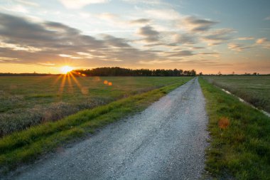 Tarlalarda ve günbatımında kır yolu, yaz akşamı manzarası