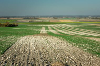 Polonya 'nın doğusunda sonbahar tarlaları, Ekim manzarası