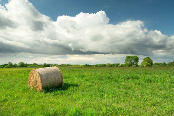 Hay Bale Πράσινο Λιβάδι Και Μεγάλο Λευκό Σύννεφο Μπλε Ουρανό — Φωτογραφία Αρχείου