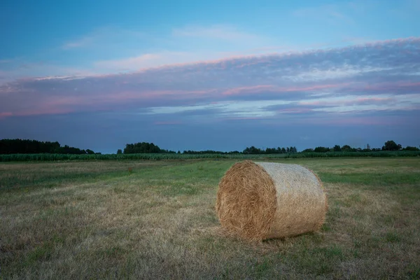 Hay Bale Meadow Colorful Clouds Sky Summer Evening View — Stock Photo, Image