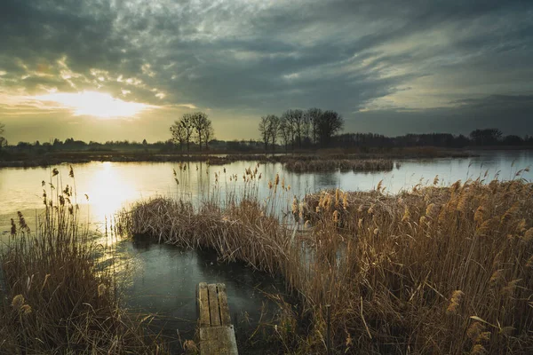 夕日と葦の凍る湖 冬の夕景 — ストック写真