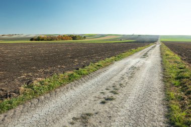 Tarlalar boyunca uzun toprak yol, ağaçlar grubu, Ekim kırsal alan