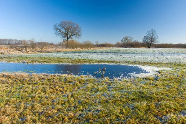 Lago congelado e geada no prado, árvores no horizonte e céu azul — Fotografia de Stock