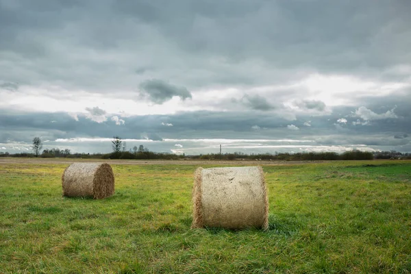 Hay Bales Lying Meadow Cloudy Sky October View — Stock Photo, Image