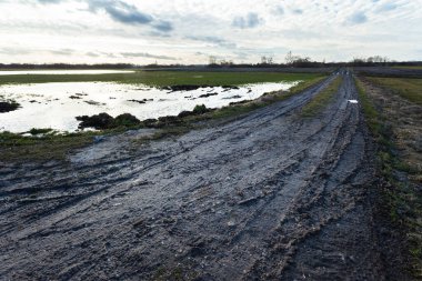 Karanlık çamurlu yol ve su birikintili çayır.