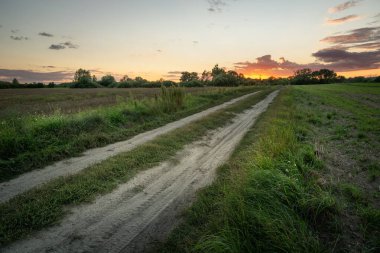 Günbatımına doğru toprak yol, yaz akşamı, doğu Polonya