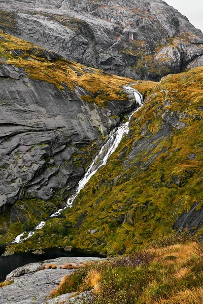 Güzel Şelale Norveç Lofoten Adaları Nda Dağlarda Yeşil Çim Yosun — Stok fotoğraf