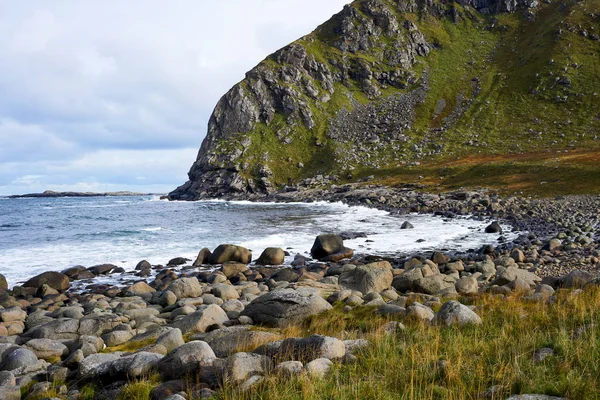Norveç'te Lofoten Adaları'nda kıyı ve vahşi okyanus manzara.