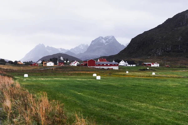 挪威罗弗顿群岛上雪封山前的乡村农场和牧场 多座房屋 — 图库照片