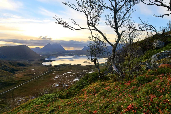 Widok Góry Nad Krajobrazem Lofoten Islands — Zdjęcie stockowe