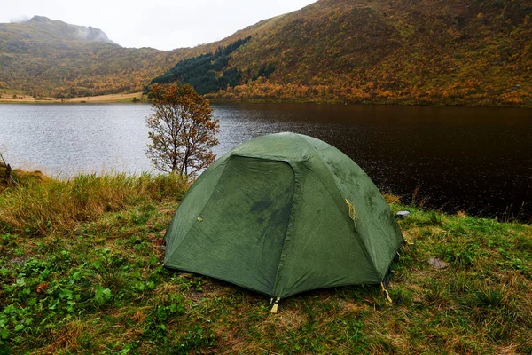 Grünes Zelt Einem Von Bäumen Und Wäldern Umgebenen See Auf — Stockfoto